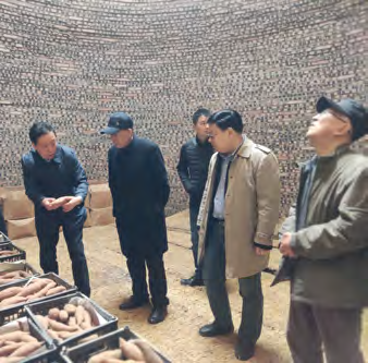上将张文台在河南省粮食协会江友昌和兰考红薯科技产业链项目发起人的陪同下视察红薯窖 (2).png